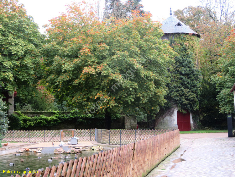 CHENONCEAUX (234) Castillo