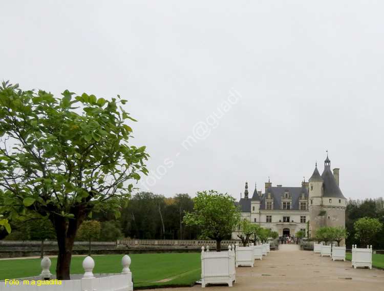 CHENONCEAU (104) Castillo