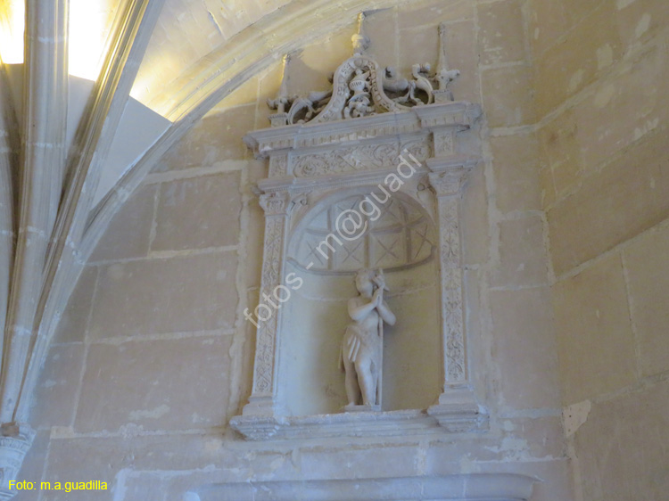 CHENONCEAU (109) Castillo