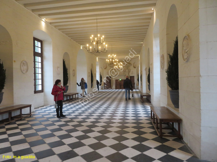 CHENONCEAU (126) Castillo