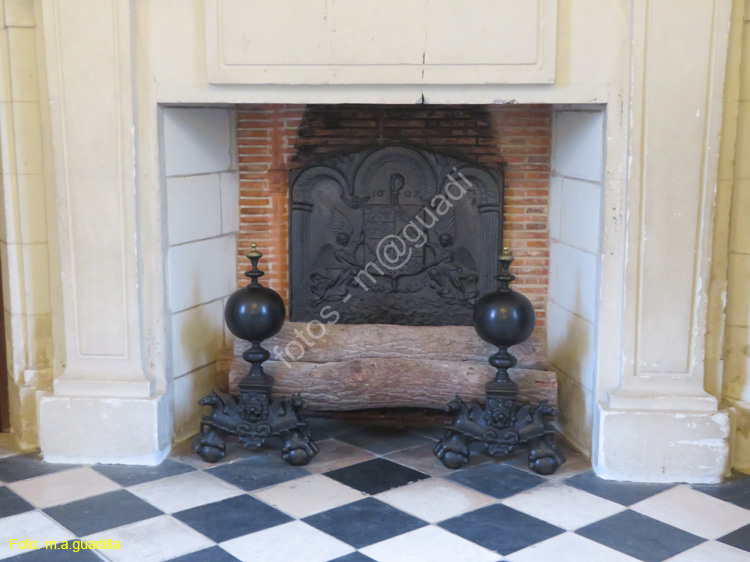 CHENONCEAU (129) Castillo