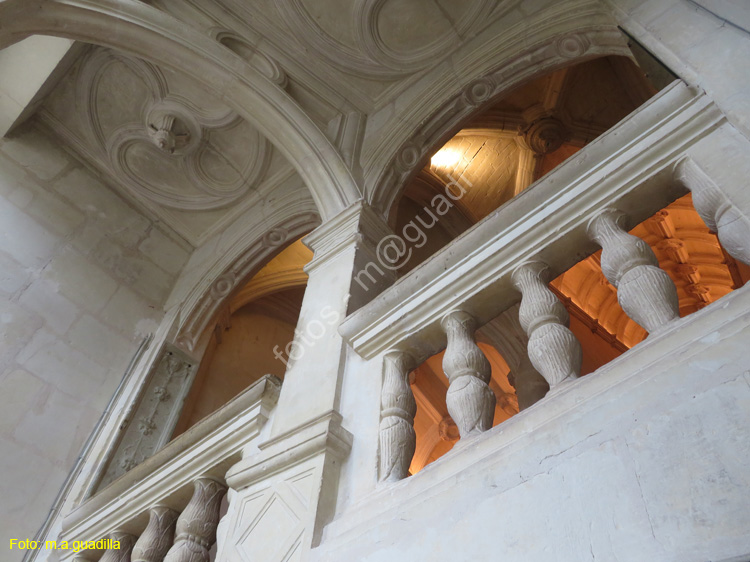 CHENONCEAU (149) Castillo