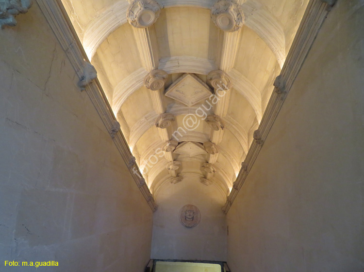 CHENONCEAU (156) Castillo