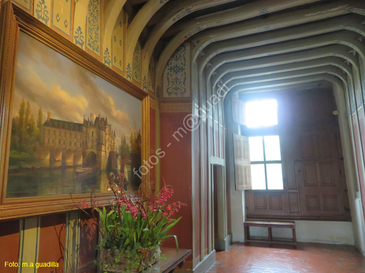 CHENONCEAU (172) Castillo