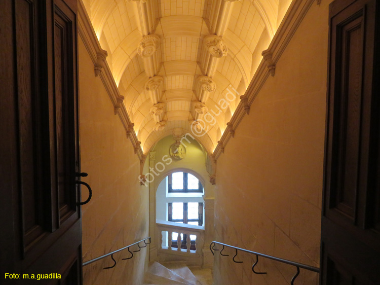 CHENONCEAU (177) Castillo