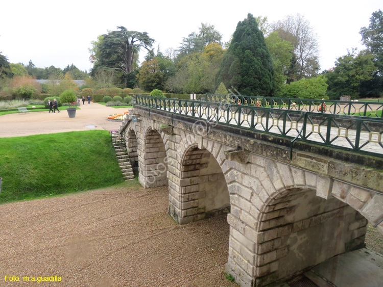 CHEVERNY (120) Castillo