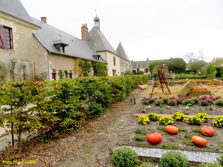 CHEVERNY (169) Castillo