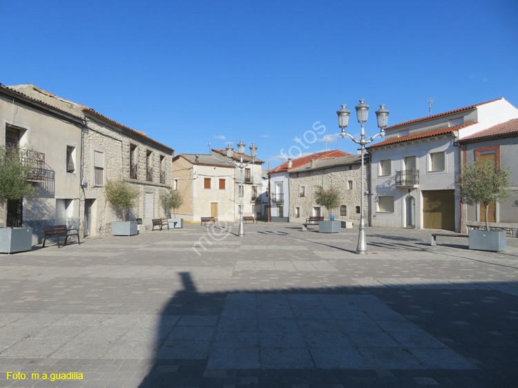 COGECES DEL MONTE (149) Plaza de la Constitucion