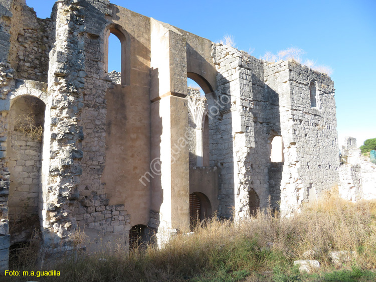 COGECES DEL MONTE (156) Monasterio de la Armedilla