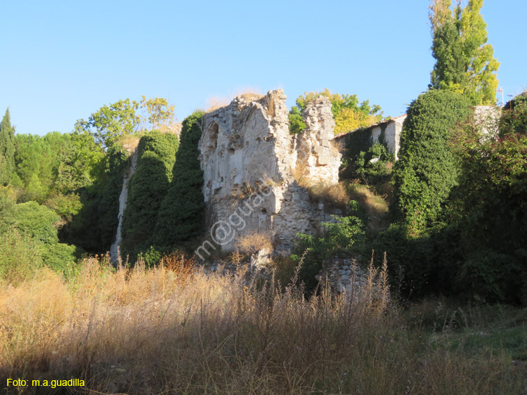 COGECES DEL MONTE (168) Monasterio de la Armedilla