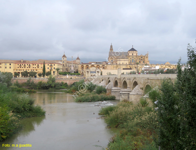 CORDOBA (104) Puente Romano