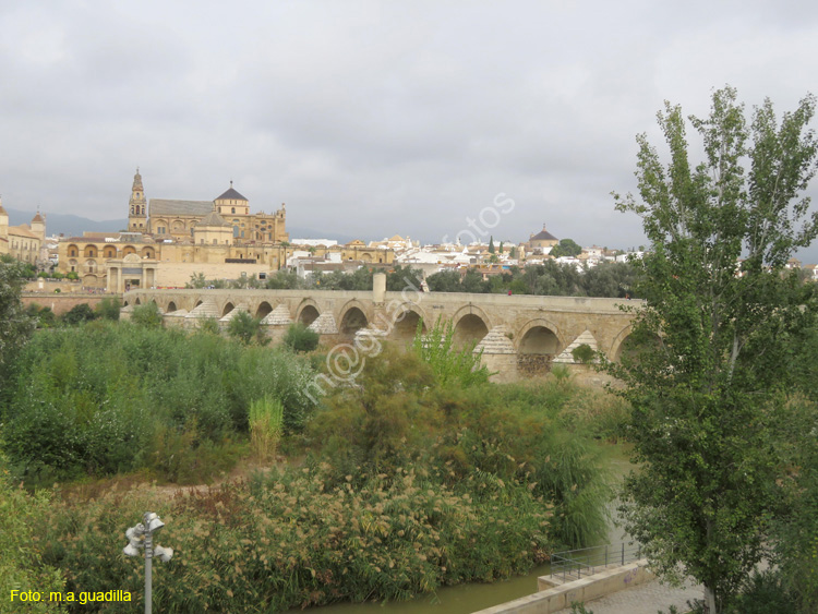 CORDOBA (105) Puente Romano