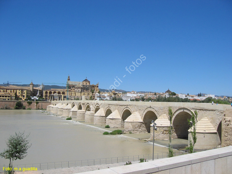 CORDOBA (106) Puente Romano 2008