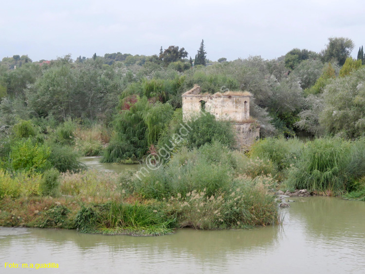 CORDOBA (115) Molino de Papalo