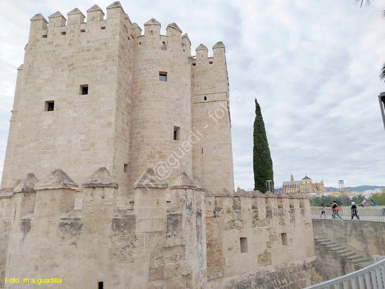 CORDOBA (122) Torre de la Calahorra