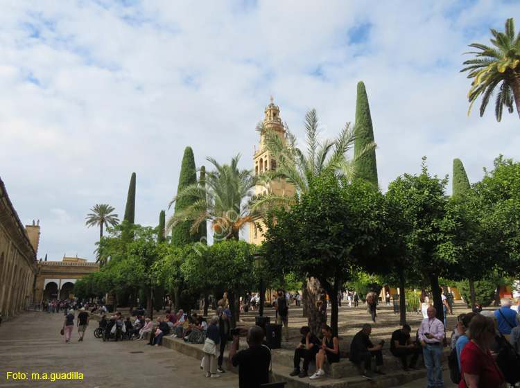 CORDOBA (167) Mezquita Catedral
