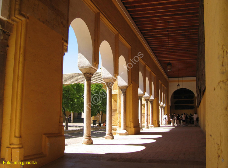 CORDOBA (170) Mezquita Catedral 2008