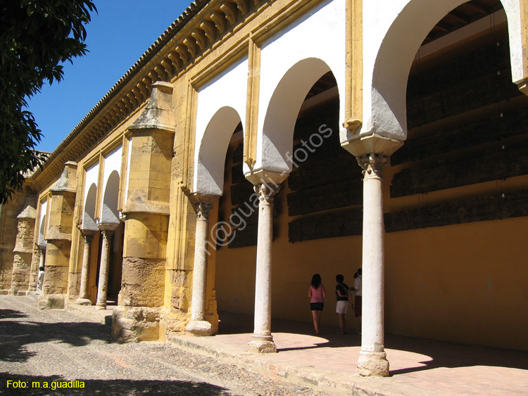 CORDOBA (171) Mezquita Catedral 2008