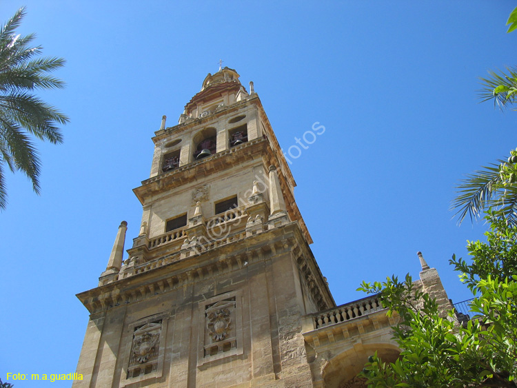 CORDOBA (174) Mezquita Catedral