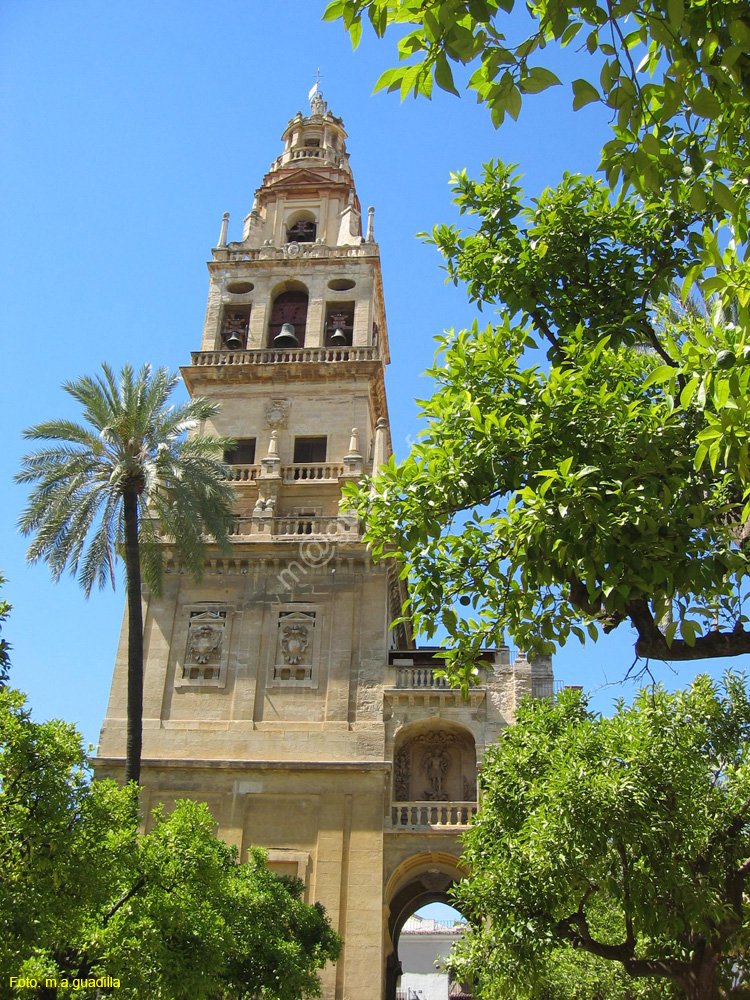 CORDOBA (175) Mezquita Catedral