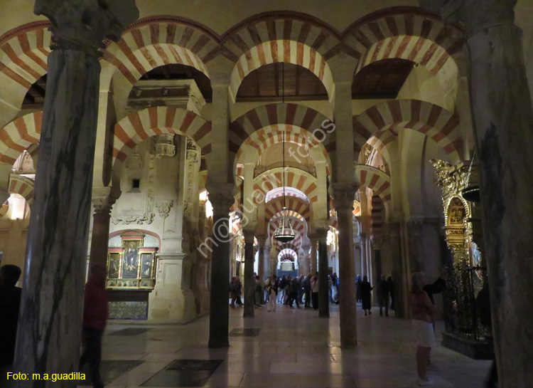 CORDOBA (186) Mezquita Catedral
