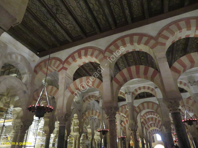 CORDOBA (195) Mezquita Catedral