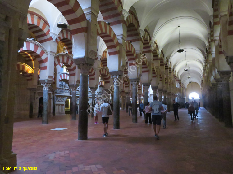 CORDOBA (210) Mezquita Catedral