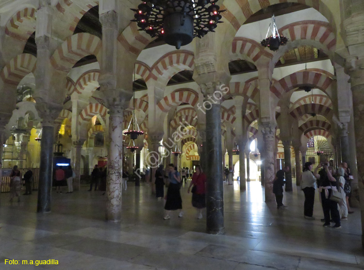 CORDOBA (249) Mezquita Catedral