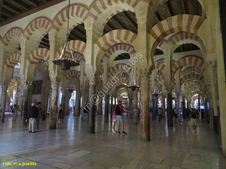 CORDOBA (253) Mezquita Catedral