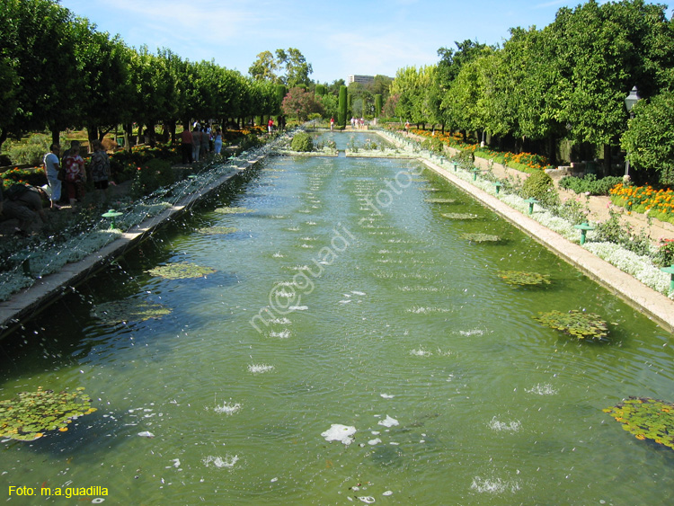 CORDOBA (307) Alcazar de los Reyes Cristianos 2008