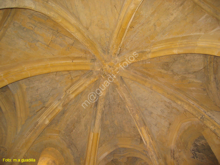 CORDOBA (329) Alcazar de los Reyes Cristianos 2008