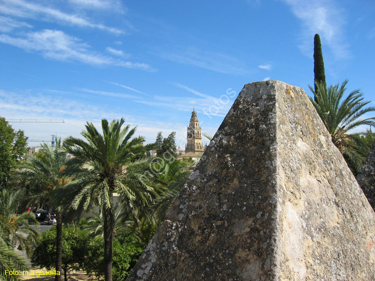 CORDOBA (330) Alcazar de los Reyes Cristianos 2008