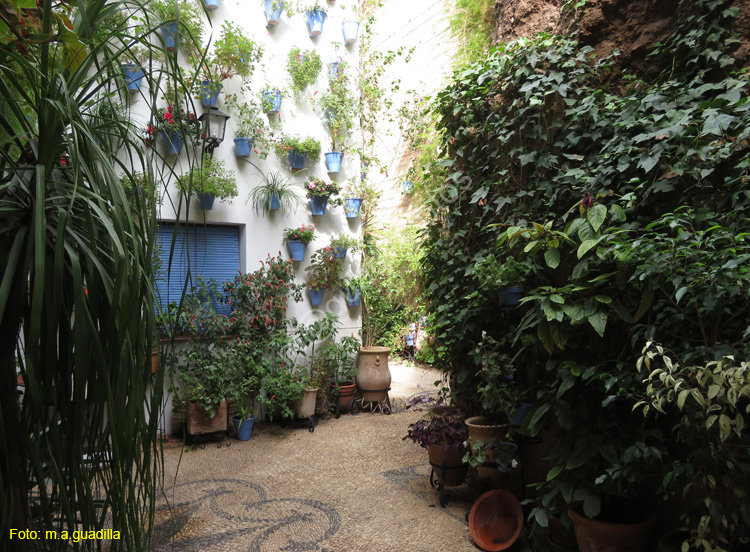 CORDOBA (379) Patio Calle San Basilio