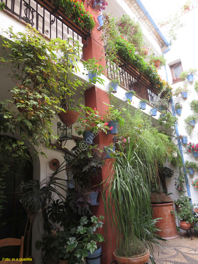 CORDOBA (380) Patio Calle San Basilio