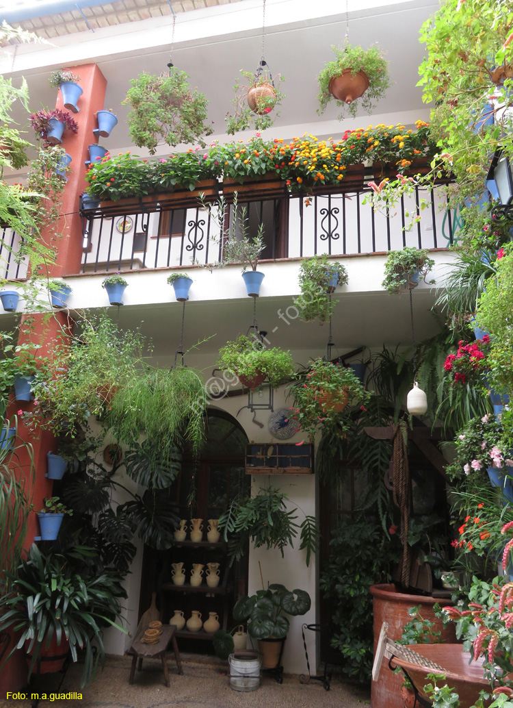 CORDOBA (383) Patio Calle San Basilio