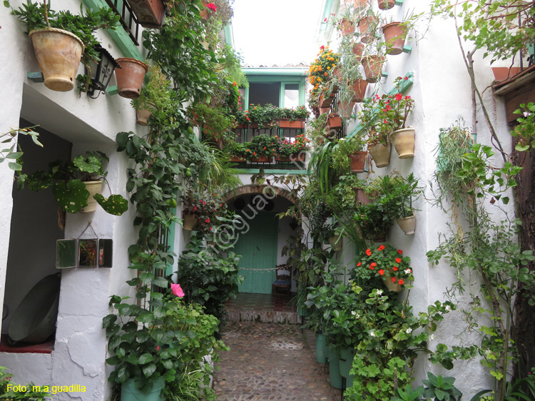 CORDOBA (394) Patio Calle San Basilio