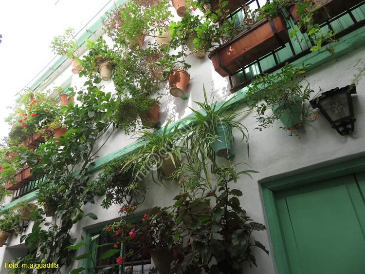 CORDOBA (397) Patio Calle San Basilio
