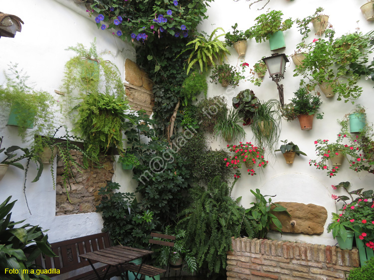 CORDOBA (399) Patio Calle San Basilio