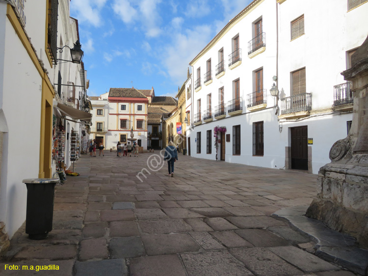 CORDOBA (499) Plaza del Potro