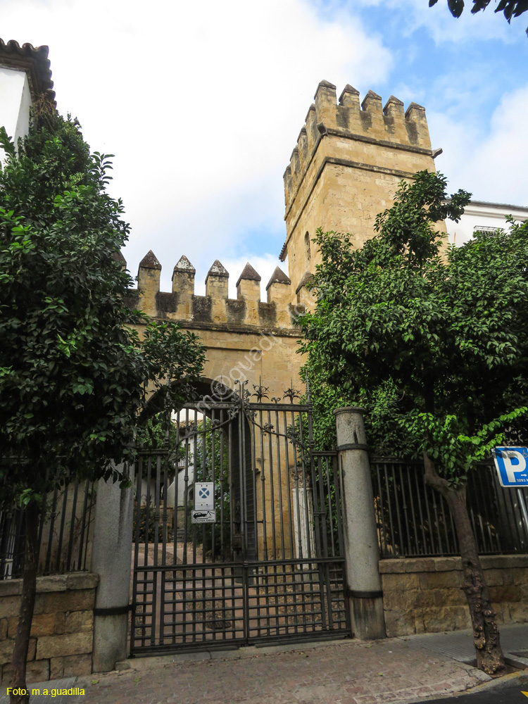 CORDOBA (522) Palacio de los Marqueses del Carpio