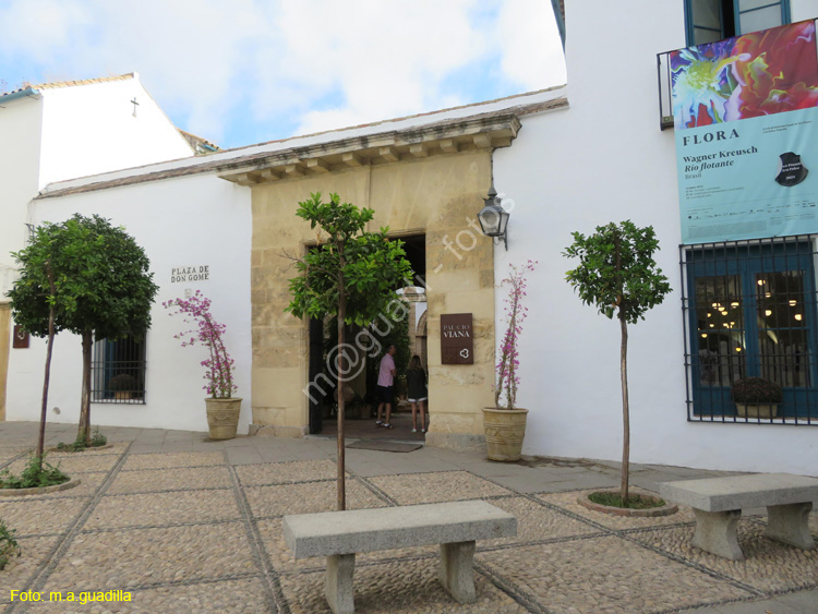 CORDOBA (550) Palacio de Viana