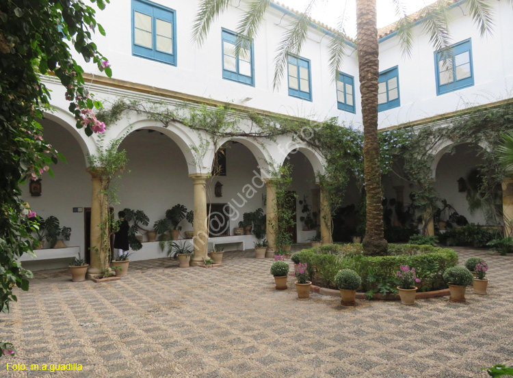 CORDOBA (553) Palacio de Viana