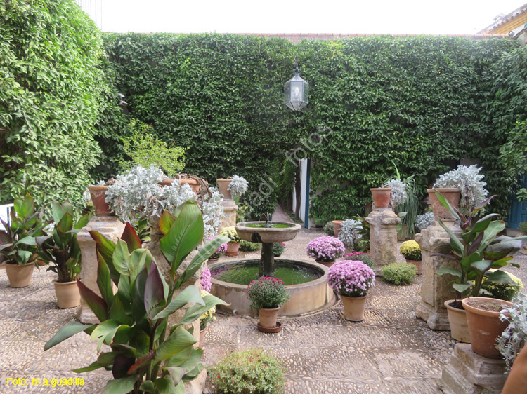 CORDOBA (563) Palacio de Viana