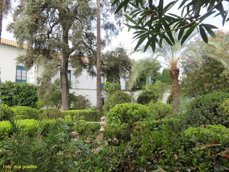 CORDOBA (568) Palacio de Viana
