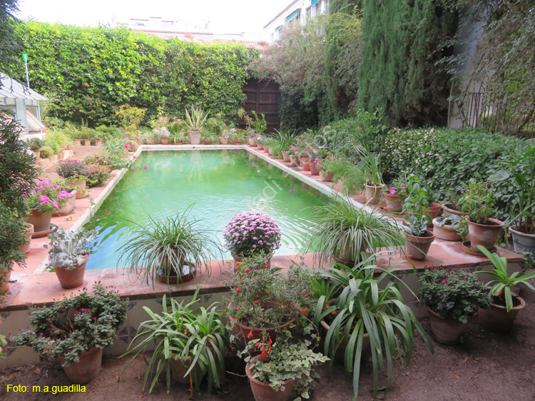 CORDOBA (571) Palacio de Viana