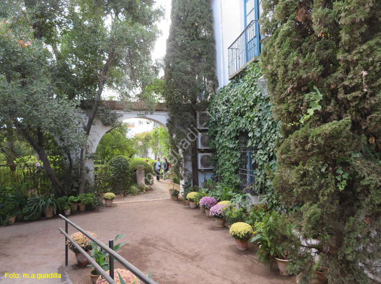 CORDOBA (573) Palacio de Viana