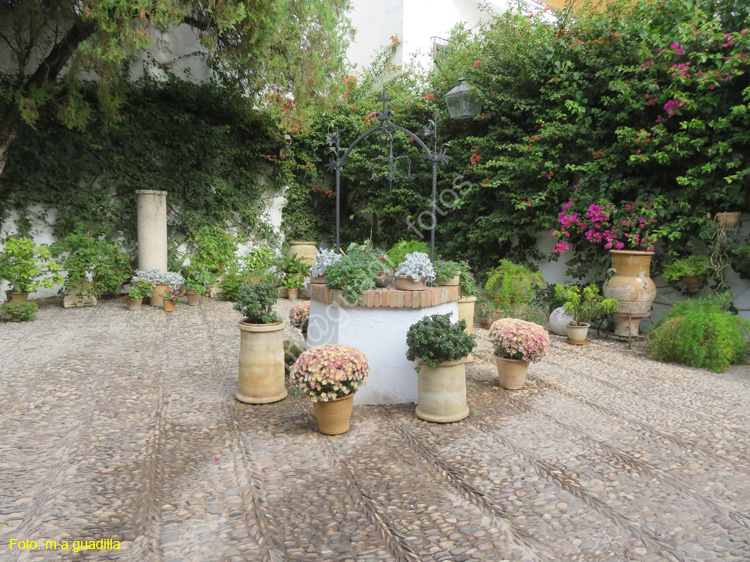 CORDOBA (574) Palacio de Viana