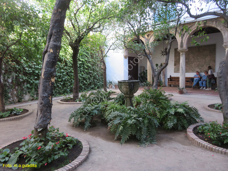 CORDOBA (588) Palacio de Viana