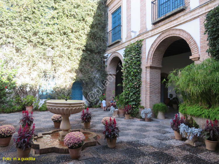 CORDOBA (597) Palacio de Viana