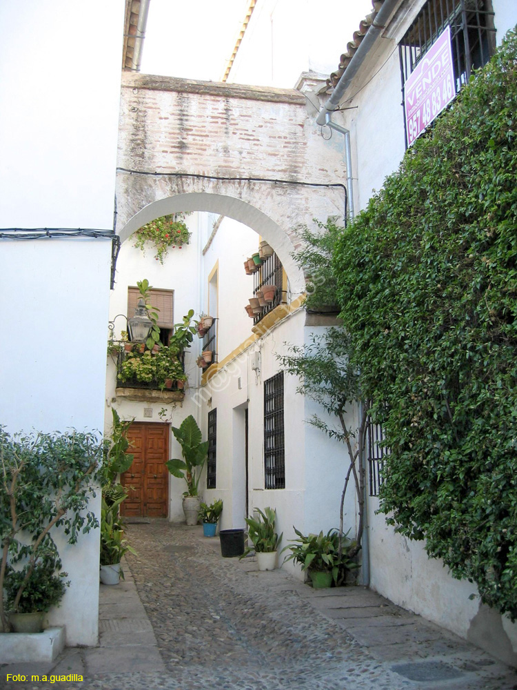 CORDOBA (665) Calle de las Flores 2008